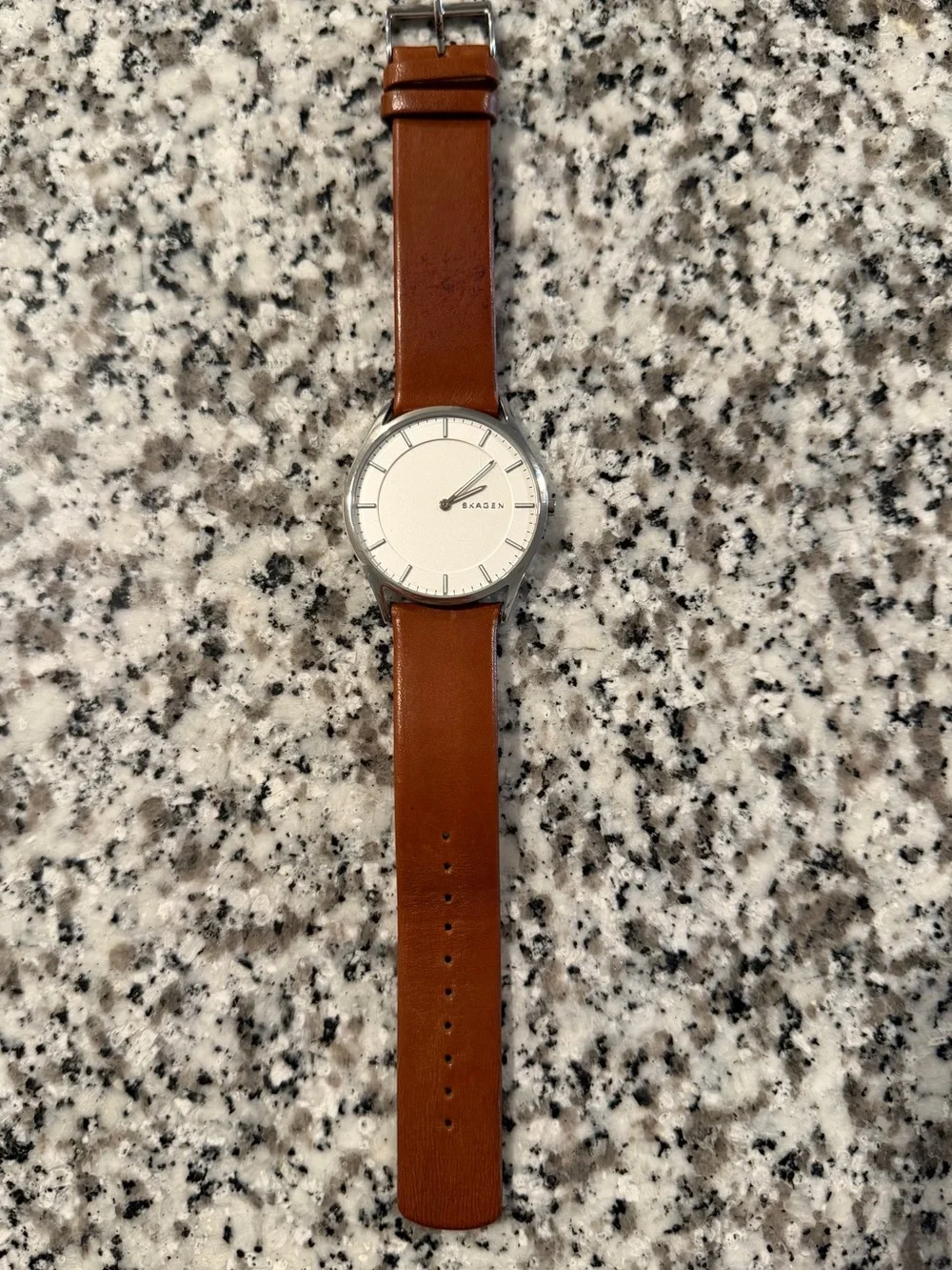 Skagen Silver Case Watch with White Dial and Brown Leather Strap